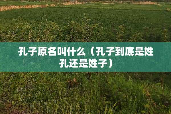 孔子原名叫什么（孔子到底是姓孔还是姓子）