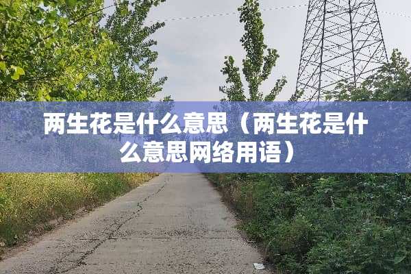 两生花是什么意思（两生花是什么意思网络用语）