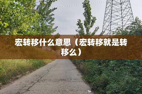 宏转移什么意思（宏转移就是转移么）