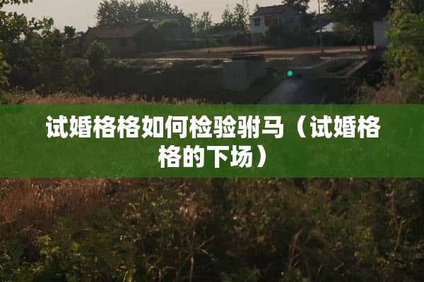 试婚格格如何检验驸马（试婚格格的下场）