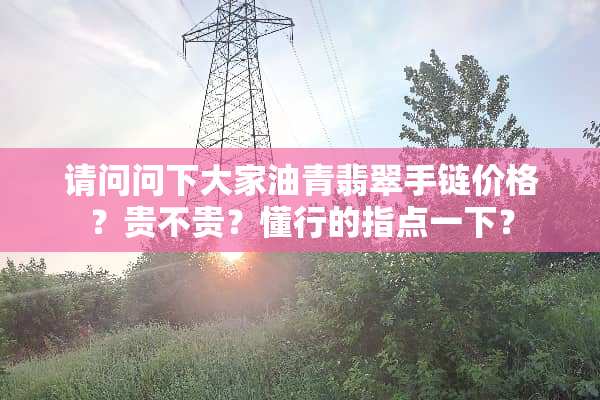 请问问下大家油青翡翠手链价格？贵不贵？懂行的指点一下？