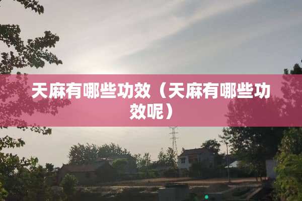 天麻有哪些功效（天麻有哪些功效呢）