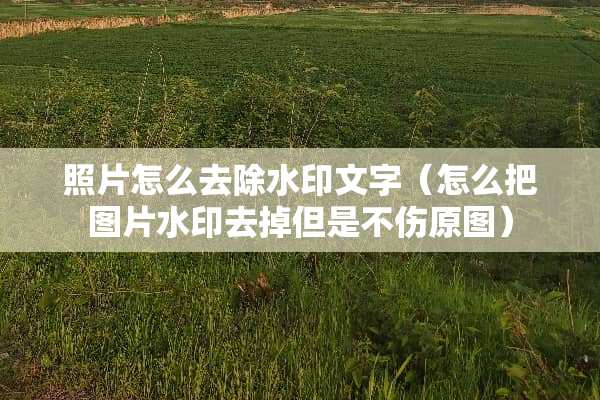 照片怎么去除水印文字（怎么把图片水印去掉但是不伤原图）