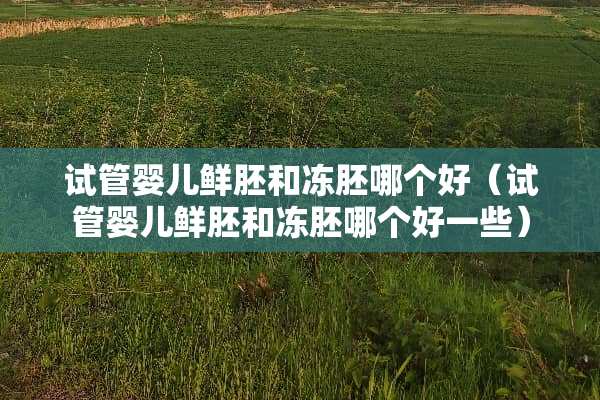 试管婴儿鲜胚和冻胚哪个好（试管婴儿鲜胚和冻胚哪个好一些）