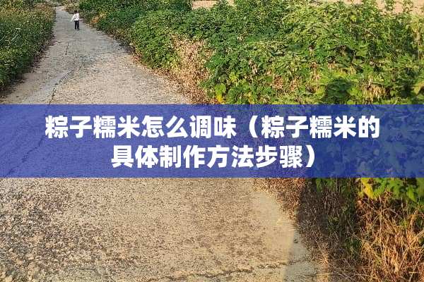 粽子糯米怎么调味（粽子糯米的具体制作方法步骤）