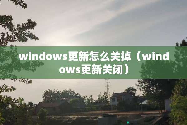 windows更新怎么关掉（windows更新关闭）