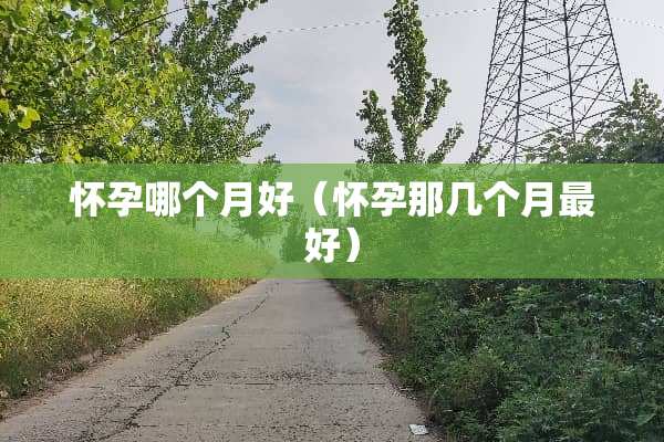 怀孕哪个月好（怀孕那几个月最好）
