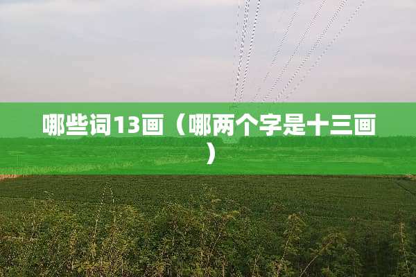 哪些词13画（哪两个字是十三画）