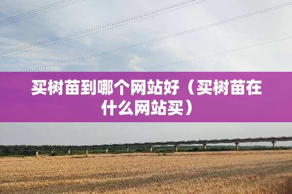 买树苗到哪个网站好（买树苗在什么网站买）