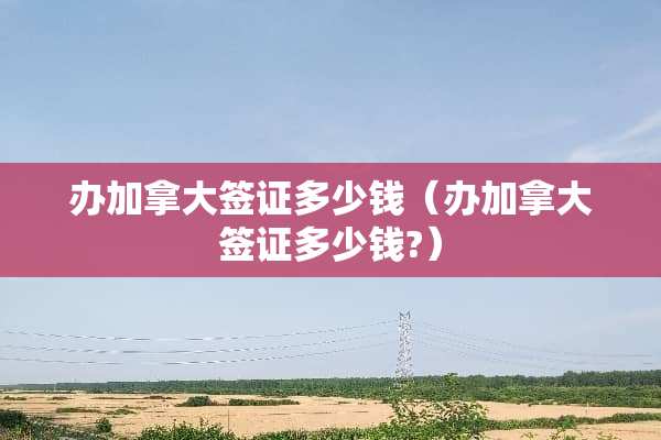 办加拿大签证多少钱（办加拿大签证多少钱?）