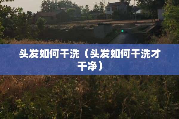 头发如何干洗（头发如何干洗才干净）