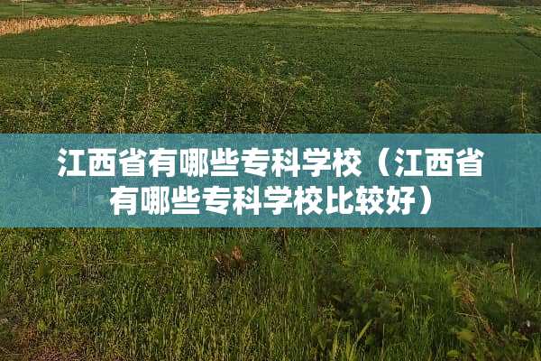 江西省有哪些专科学校（江西省有哪些专科学校比较好）
