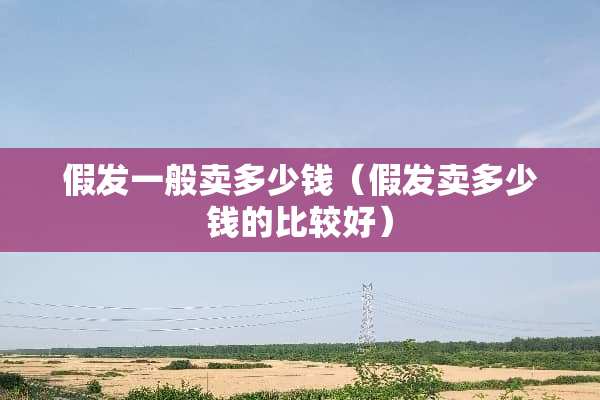 假发一般卖多少钱（假发卖多少钱的比较好）
