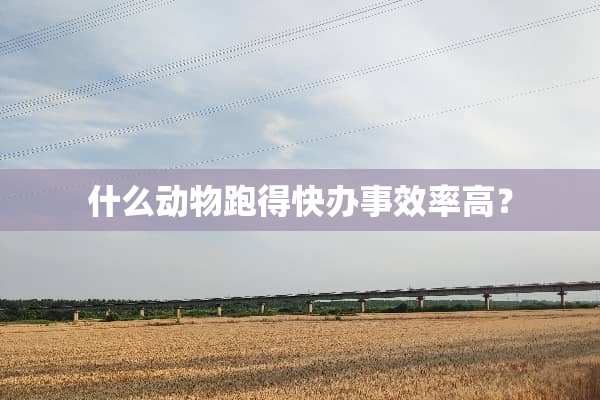 什么动物跑得快办事效率高？