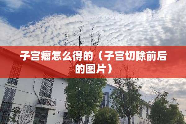 子宫瘤怎么得的（子宫切除前后的图片）