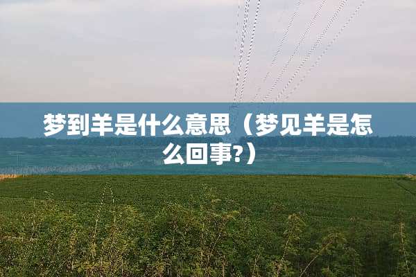 梦到羊是什么意思（梦见羊是怎么回事?）