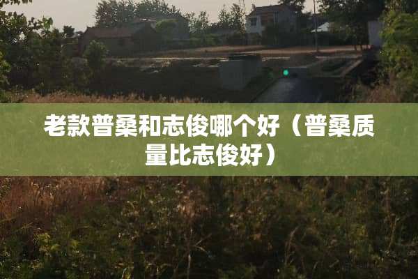 老款普桑和志俊哪个好（普桑质量比志俊好）