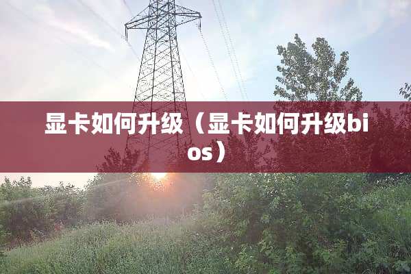 显卡如何升级（显卡如何升级bios）