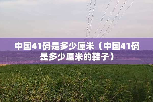 中国41码是多少厘米（中国41码是多少厘米的鞋子）