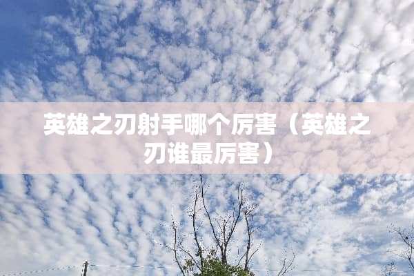 英雄之刃射手哪个厉害（英雄之刃谁最厉害）