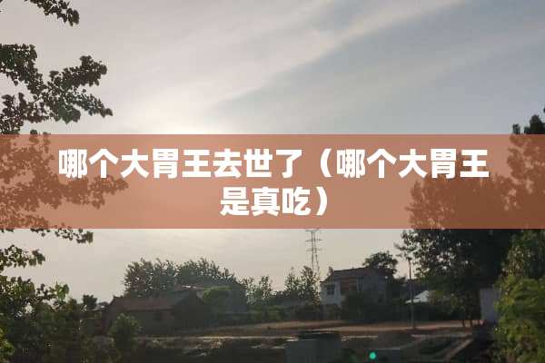 哪个大胃王去世了（哪个大胃王是真吃）