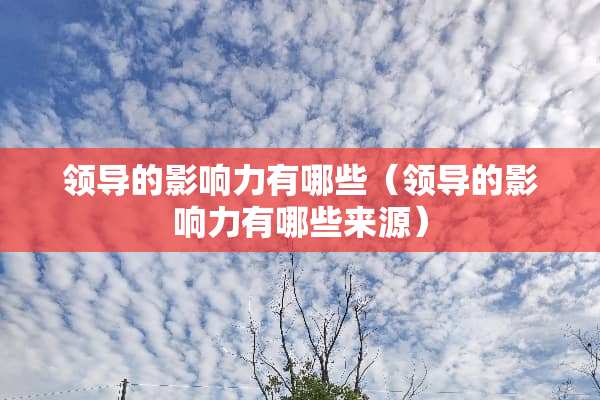 领导的影响力有哪些（领导的影响力有哪些来源）