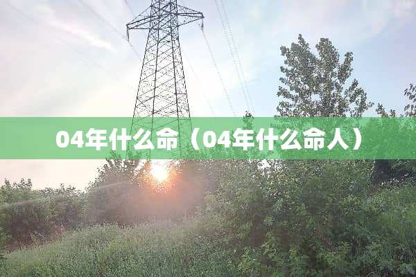 04年什么命（04年什么命人）