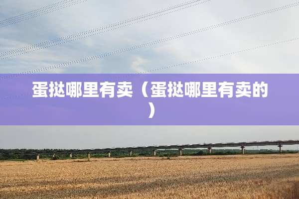 蛋挞哪里有卖（蛋挞哪里有卖的）