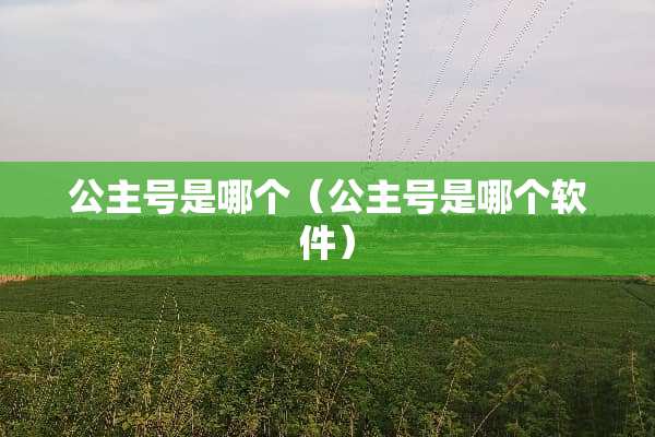 公主号是哪个（公主号是哪个软件）