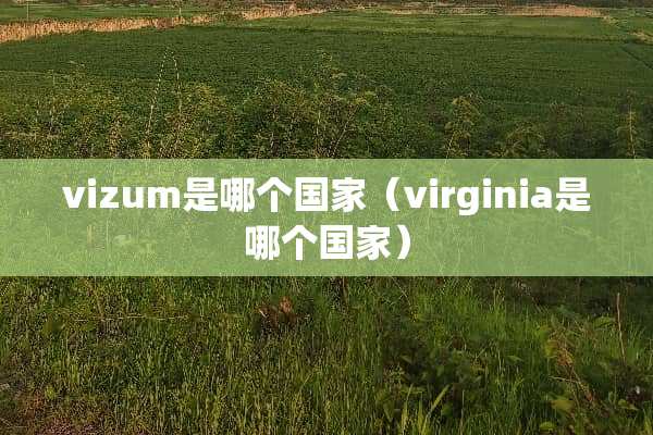 vizum是哪个国家（virginia是哪个国家）