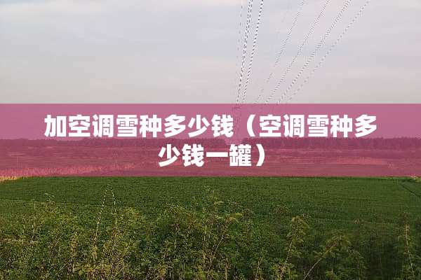 加空调雪种多少钱（空调雪种多少钱一罐）