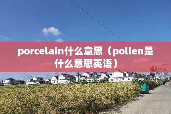 porcelain什么意思（pollen是什么意思英语）