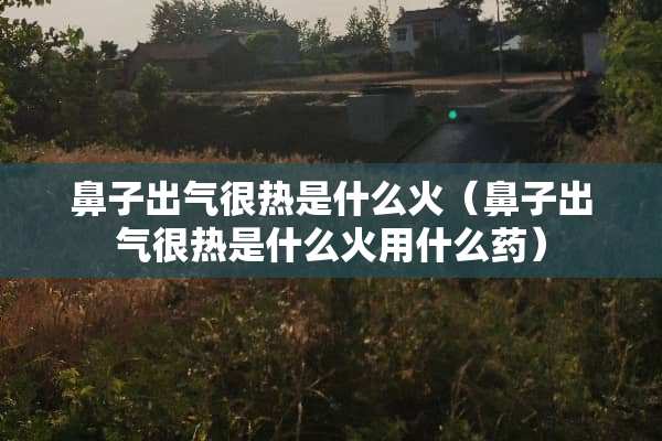 鼻子出气很热是什么火（鼻子出气很热是什么火用什么药）