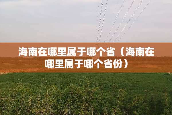 海南在哪里属于哪个省（海南在哪里属于哪个省份）