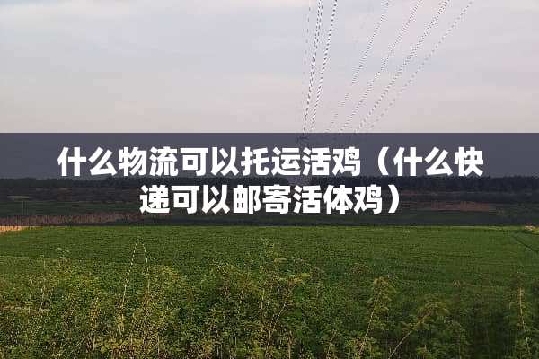 什么物流可以托运活鸡（什么快递可以邮寄**鸡）