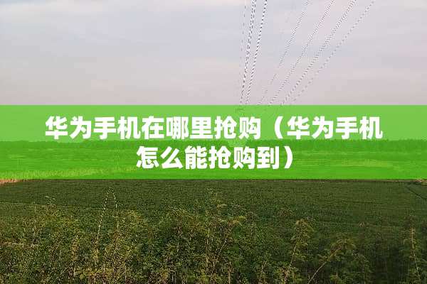 华为手机在哪里抢购（华为手机怎么能抢购到）
