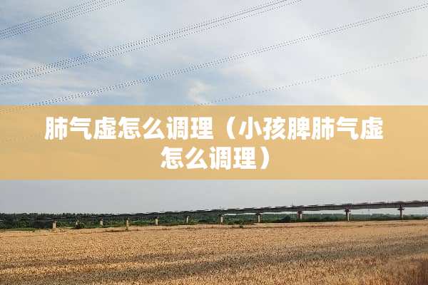 肺气虚怎么调理（小孩脾肺气虚怎么调理）