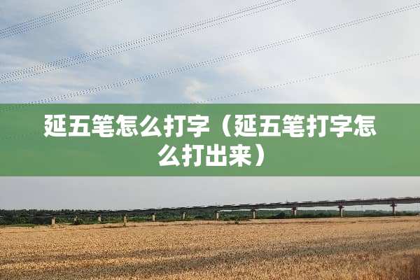延五笔怎么打字（延五笔打字怎么打出来）