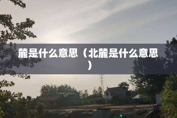 麓是什么意思（北麓是什么意思）