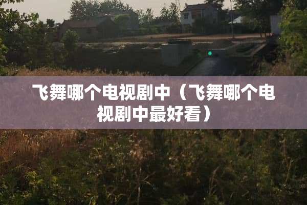 飞舞哪个电视剧中（飞舞哪个电视剧中最好看）