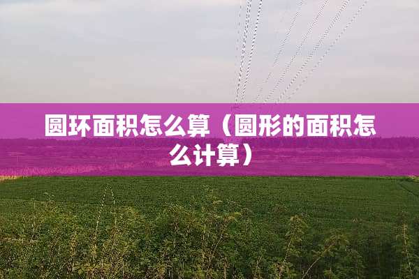 圆环面积怎么算（圆形的面积怎么计算）