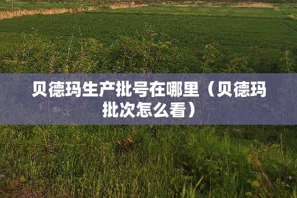 贝德玛生产批号在哪里（贝德玛批次怎么看）