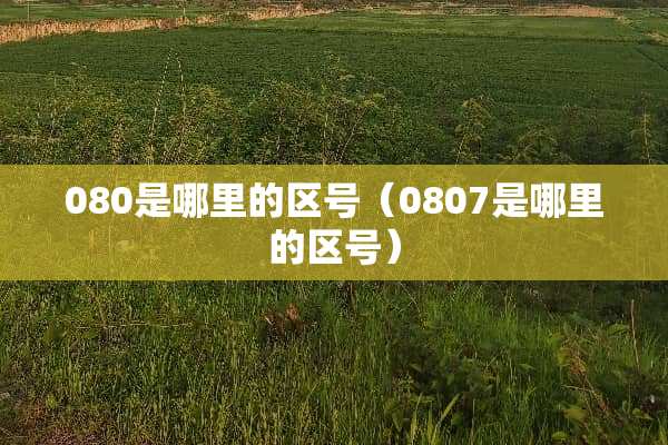 080是哪里的区号（0807是哪里的区号）