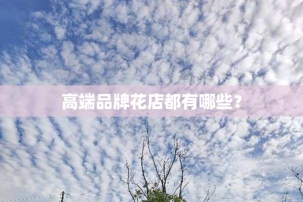 高端品牌花店都有哪些？