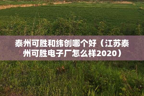 泰州可胜和纬创哪个好（江苏泰州可胜电子厂怎么样2020）