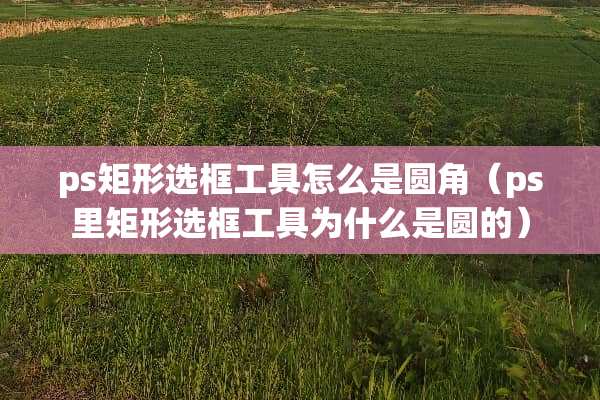 ps矩形选框工具怎么是圆角（ps里矩形选框工具为什么是圆的）