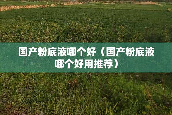 国产粉底液哪个好（国产粉底液哪个好用推荐）