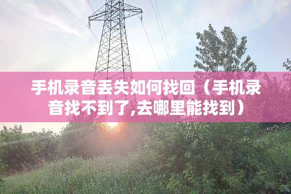 手机录音丢失如何找回（手机录音找不到了,去哪里能找到）