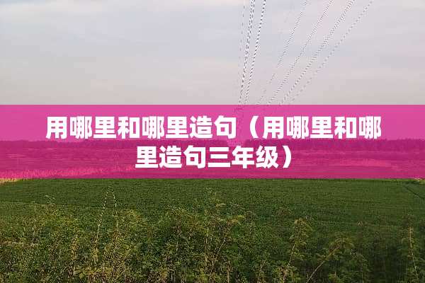 用哪里和哪里造句（用哪里和哪里造句三年级）