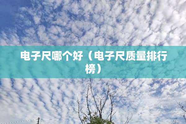 电子尺哪个好（电子尺质量排行榜）